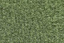 1974-79 Nova / Apollo / Omega / Ventura Molded Cutpile Carpet - 2 or 4 Door - ACC Choose Variation