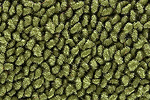 1969-72 Nova Molded Cutpile Carpet - 2 or 4 Door - 9 Factory Colors - ACC - Choose Options