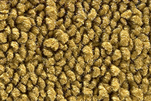 1969-72 Nova Molded Cutpile Carpet - 2 or 4 Door - 9 Factory Colors - ACC - Choose Options